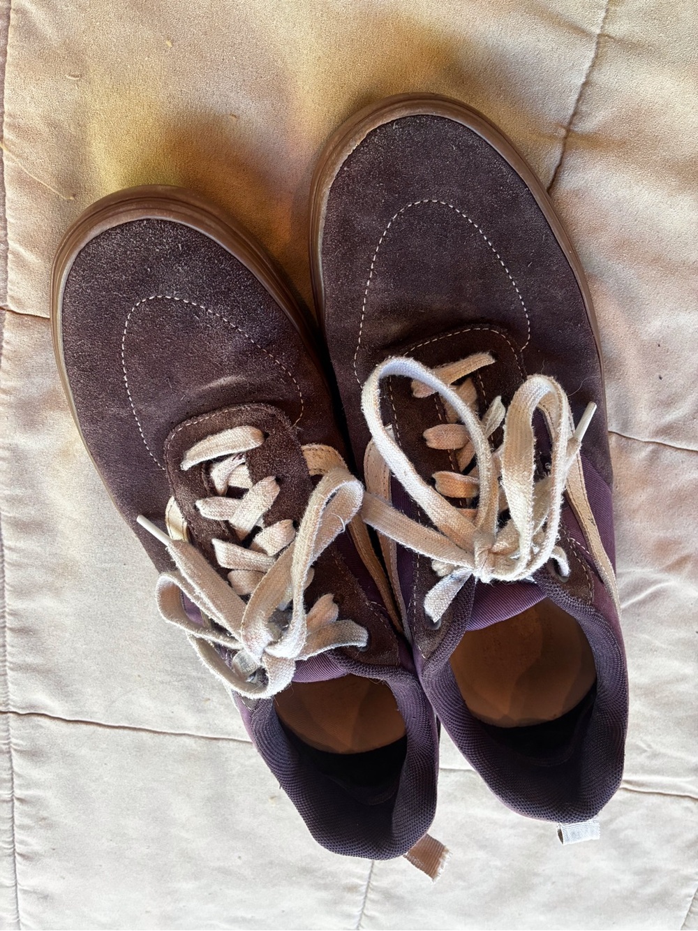 Vans Kyle Walker Pro Burgundy/Purple Canvas Low-Top Sneakers
